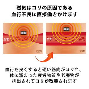 マグマックス ループ 200 MAGMAX L...の詳細画像3