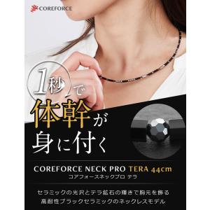 コアフォースネックレス プロ テラ 44cm ...の詳細画像1