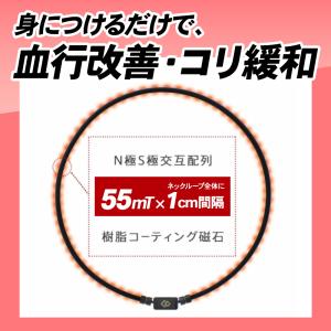 【ポイント10倍 認定代理店】当店限定 コラン...の詳細画像5