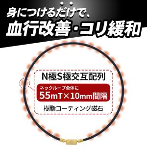 【ポイント10倍 認定代理店】当店限定 コラン...の詳細画像5