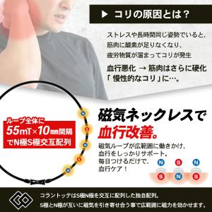 【ポイント10倍 認定代理店】 コラントッテ ...の詳細画像4