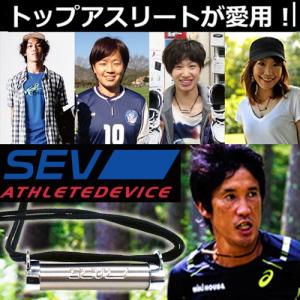 SEV メタルレール Si Type-Fit ネックレス｜hogushiyahonpo