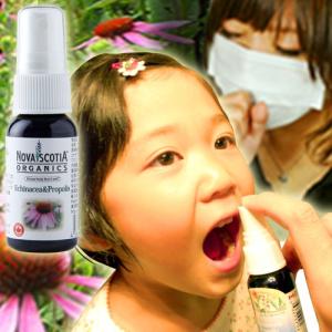 ノバスコシア エキナセア スプレー