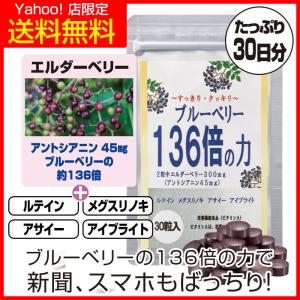 ブルーベリー136倍の力 エルダーベリー サプリ サプリメント 見る健康 目のサプリ 1袋 約1ヶ月分｜新光通販 Yahoo!ショップ