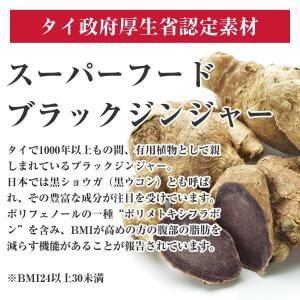 黒しょうがプラス 初回限定 おなかの脂肪 内臓...の詳細画像2