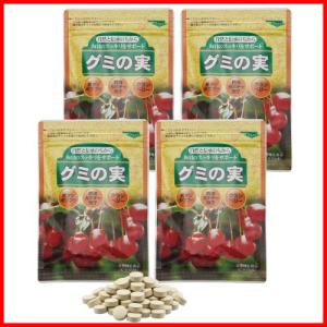 阿膠 山東 サントウアキョウ 山東阿膠 (さんとう あきょう) アキョウ