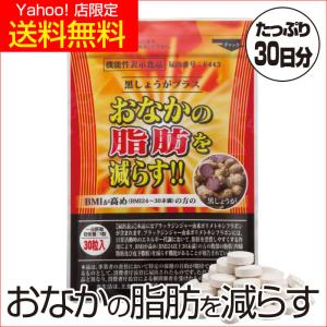 黒しょうがプラス a011-5073 初回限定 おなかの脂肪 内臓脂肪 皮下脂肪を減らす 機能性表示食品 1袋 約1ヶ月分