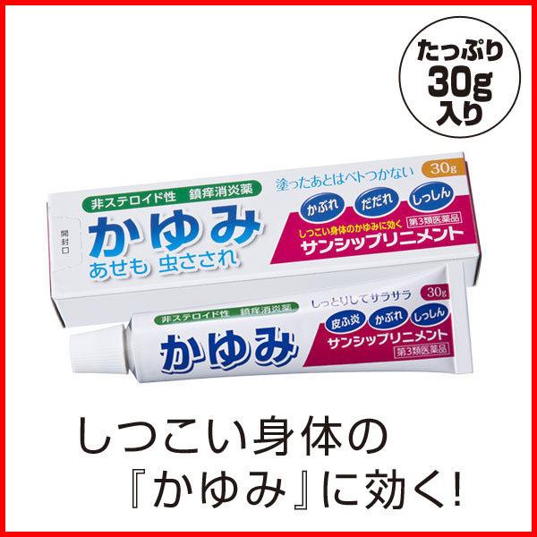 しっしんカブレの塗り薬 【第３類医薬品】 1箱