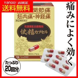 快精カプセル  初回限定 1箱