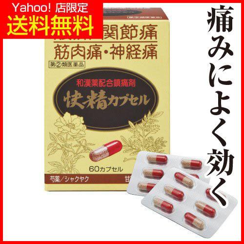 快精カプセル 【第(２)類医薬品】 初回限定 1箱