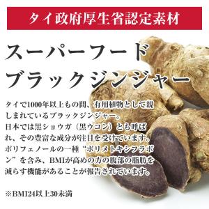 黒しょうがプラス 初回限定 おなかの脂肪 内臓...の詳細画像2