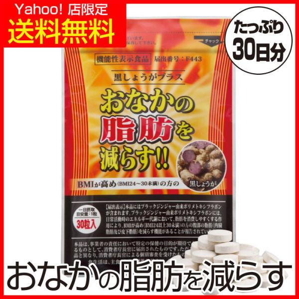 黒しょうがプラス 初回限定 おなかの脂肪 内臓脂肪 皮下脂肪を減らす 機能性表示食品 1袋 約1ヶ月...