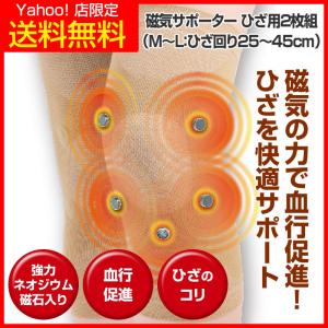 レミントン 膝サポーター Lサイズ 2枚入り 両ひざ分 (ひざ頭周囲 約