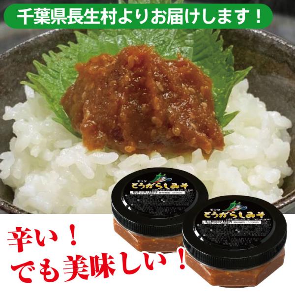 とうがらしみそ（2個セット） ご飯のお供 お酒のおつまみ お取り寄せ 千葉県長生村からお届け - ほ...