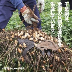 千葉名産 ゆで落花生おおまさり(4袋セット) ...の詳細画像2