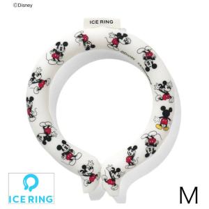 アイスリング ICE RING SUO×FO デ...の商品画像