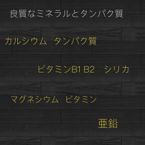すぎな茶 スギナ茶 すぎな粉 無農薬 湯布院産...の詳細画像2
