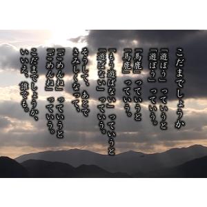 21世紀のまなざし 金子みすゞ みんなちがって...の詳細画像4