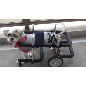 犬用車椅子 歩行器 小型犬用 オーダーメイド 2輪 室内 歩行補助 老犬 
