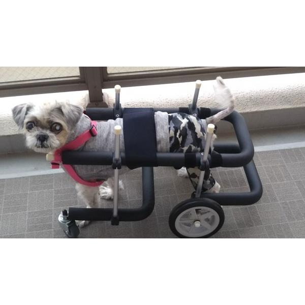 犬用車椅子 歩行器 小型犬用 オーダーメイド 4輪 室内 歩行補助 老犬 介助 運動 リハビリ 加齢...