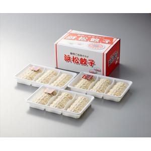 お中元 2023 惣菜 ギフト 送料無料 静岡Ｂ級グルメ浜松餃子(４５粒)(HG-30TN) / お中元ギフト 御中元 夏ギフト レトルト 手軽 和食 洋食 和食惣菜｜hokkaido-gourmation