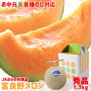 お中元 メロン 北海道 富良野メロン(共撰 秀品 約1.3kg×1玉) / ギフト 贈り物 赤肉 旬 夏 内祝い 残暑御見舞い 北海道産 フルーツ｜hokkaido-gourmation