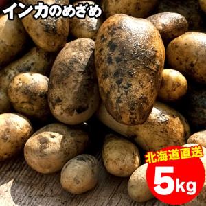 出荷開始中 越冬じゃがいも 送料無料 北海道産 インカのめざめ（Sサイズ以上）1箱5キロ入り / 5kg ５ｋｇ お取り寄せ インカの目覚め いんかのめざめ
