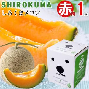 2024年 予約 メロン お中元 ギフト 送料無料 SHIROKUMA SWEET 北海道産 赤肉メロン 1玉入(約1.6kg 大玉 Lサイズ) / フルーツ｜hokkaido-gourmation