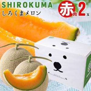 2024年 予約 メロン お中元 ギフト 送料無料 SHIROKUMA SWEET 北海道産 赤肉メロン 2玉入(1玉約1.6kg 大玉 Lサイズ×2玉)｜hokkaido-gourmation