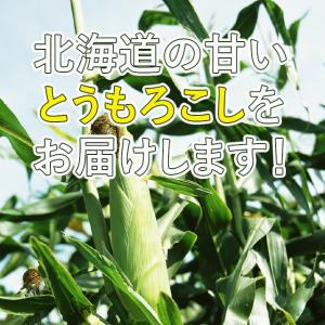 とうもろこし 北海道 ドルチェドリーム 10本...の詳細画像3