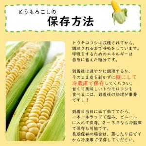 とうもろこし 北海道 ドルチェドリーム 10本...の詳細画像4
