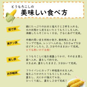 とうもろこし 北海道 ドルチェドリーム 10本...の詳細画像5