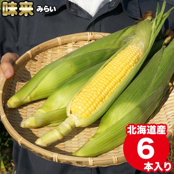 2024年予約 とうもろこし 送料無料 北海道産 味来 6本入り / トウモロコシ とうきび 北海道...