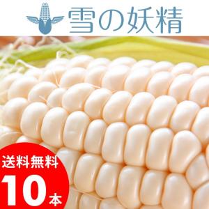 2018年ご予約承り中 8月出荷開始 まとめ買いでさらに1箱...
