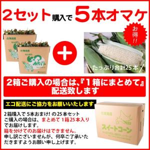 とうもろこし 北海道 ピュアホワイト 10本入...の詳細画像2