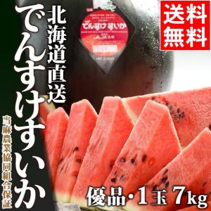 2018年ご予約承り中 7月出荷開始 北海道 当麻町 でんす...