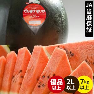 2018年ご予約承り中 7月出荷開始 北海道 当麻町 でんす...