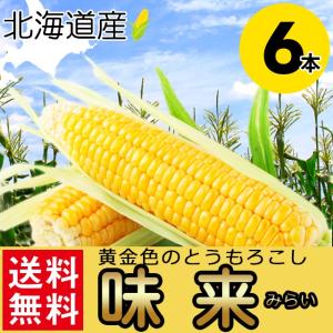 【2024年予約】とうもろこし 送料無料 北海道産 味来(みらい/6本入り) / 北海道 トウモロコシ 新鮮直送 旬 黄色 イエローコーン 甘い