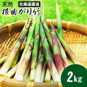 送料無料 根曲がり竹 北海道産 天然 竹の子(2.0kg入り...