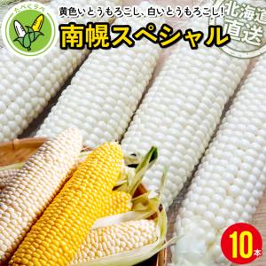 【2024年予約】 とうもろこし 送料無料 北海道産 南幌スペシャル(10本入り)ピュアホワイト＆あまいんです 各5本 / 白い 食べ比べ セット