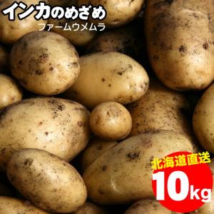 2024年予約 新じゃが 送料無料 北海道産 千歳ファーム・ウメムラ 完熟インカのめざめ 10kg / 10キロ インカの目覚め 野菜 ジャガイモ じゃがいも 人気 小さめ｜hokkaido-gourmation