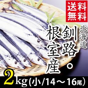 予約受付中 さんま 北海道産 サンマ 2キロ(小：14尾〜16尾入り) / 秋刀魚 水産 直送 道産 まとめ買い 2kg ２キロ ２ｋｇ｜hokkaido-gourmation