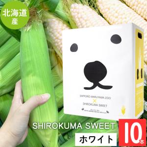 【2024年予約】 北海道 とうもろこし 送料無料 SHIROKUMA SWEET 北海道産 ホワイトコーン 10本 / 産地直送 ピュアホワイト ホワイトショコラ｜ギフト&グルメ北海道