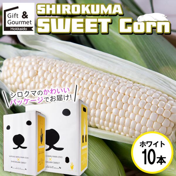 とうもろこし 北海道 SHIROKUMA SWEET ホワイトコーン 10本 / 白いトウモロコシ ...