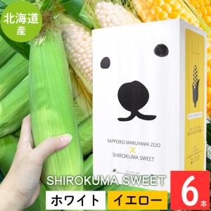 とうもろこし 食べ比べ 北海道 SHIROKUMA SWEET イエローコーン＆ホワイトコーン 6本 / 白いトウモロコシ トウモロコシ 北海道とうもろこし 白いとうもろこし
