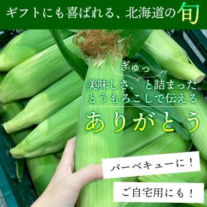 とうもろこし 食べ比べ 北海道 SHIROKU...の詳細画像1