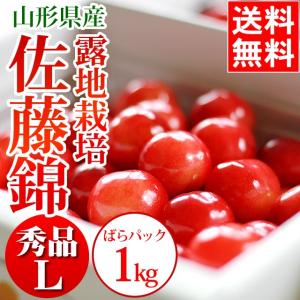 予約受付中 さくらんぼ ギフト 送料無料 さくらんぼ佐藤錦(山形県東根産) 露地栽培/秀品/Lサイズ/ばらパック詰め/1.0kg / 露地物 山形県産 サクランボ 果物｜hokkaido-gourmation