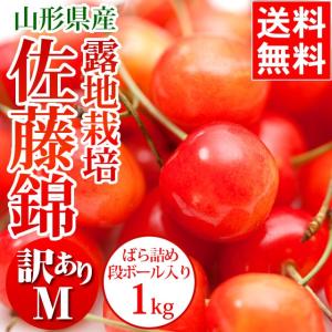 予約受付中 さくらんぼ 訳あり 送料無料  訳あり 山形県産 さくらんぼ 佐藤錦（M/1kgバラ詰/露地栽培） / 露地物 山形県産 サクランボ 果物 フルーツ 人気