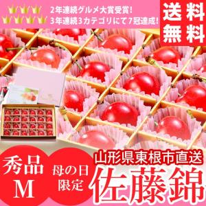 母の日 遅れてごめんね さくらんぼ 山形県産 佐藤錦（秀品 Mサイズ 24粒 カーネーション付 プレミアムボックス入り）/ フルーツ 果物 人気 産地直送