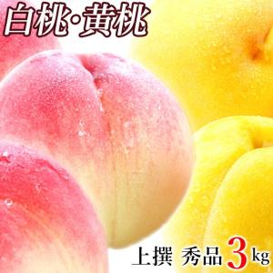 2018年ご予約承り中 8月出荷開始 山形県産 白桃(はくと...